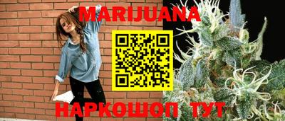 крисы Гай