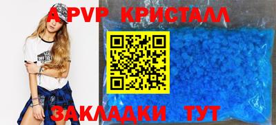 крисы Гай