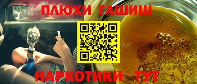 крисы Гай