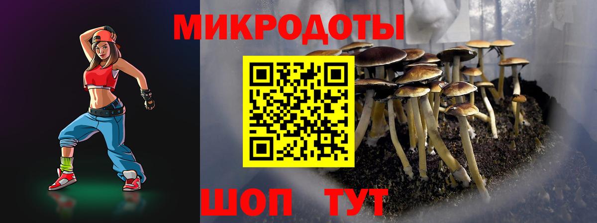 Галлюциногенные грибы прущие грибы Можайск