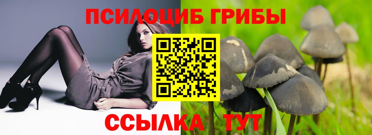 где найти   Вход с VPN  Можайск  Псилоцибиновые грибы ЛСД 